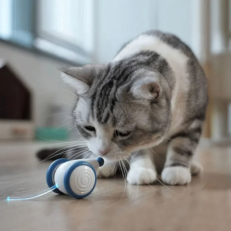 Brinquedo Ratinho Elétrico para Cães e Gatos - Carregamento USB, Sensor Inteligente, Brinquedo Sem Fio para Diversão de Gatos e Cães em Ambientes Internos