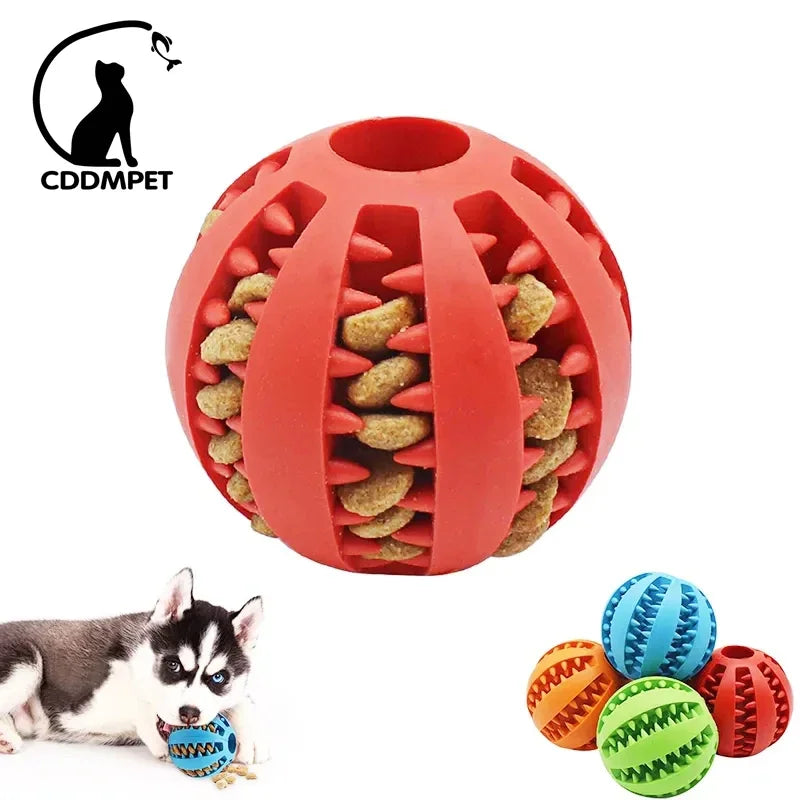 Dog Ball Interativa - A Bola Interativa Que Seu Filhote Vai Adorar! 🎾🐾