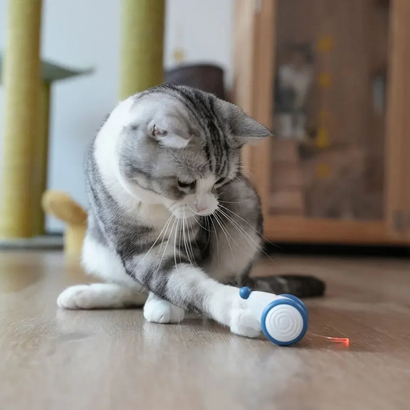 Brinquedo Ratinho Elétrico para Cães e Gatos - Carregamento USB, Sensor Inteligente, Brinquedo Sem Fio para Diversão de Gatos e Cães em Ambientes Internos