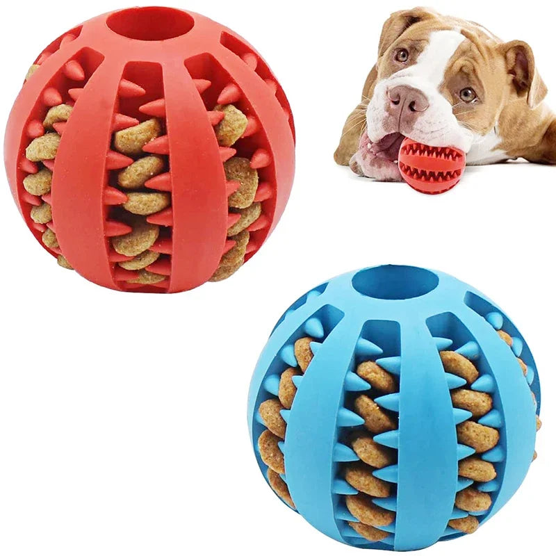 Dog Ball Interativa - A Bola Interativa Que Seu Filhote Vai Adorar! 🎾🐾