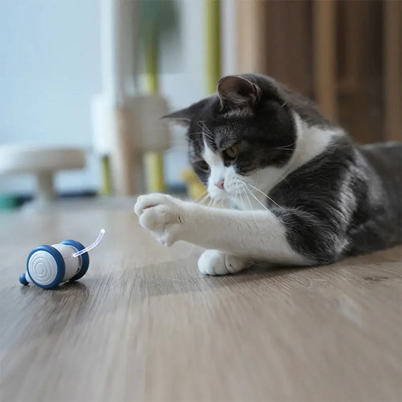 Brinquedo Ratinho Elétrico para Cães e Gatos - Carregamento USB, Sensor Inteligente, Brinquedo Sem Fio para Diversão de Gatos e Cães em Ambientes Internos